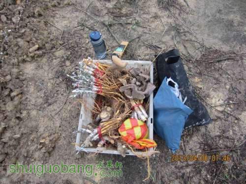 ������С ������С IMG_5361.JPG