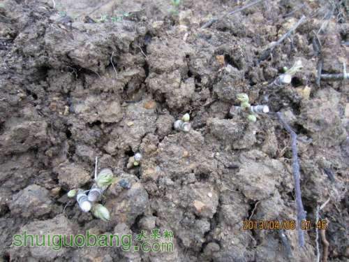 ������С ������С IMG_5363.JPG