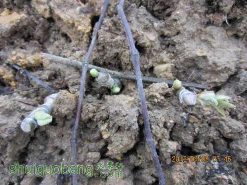 ������С ������С IMG_5364.JPG