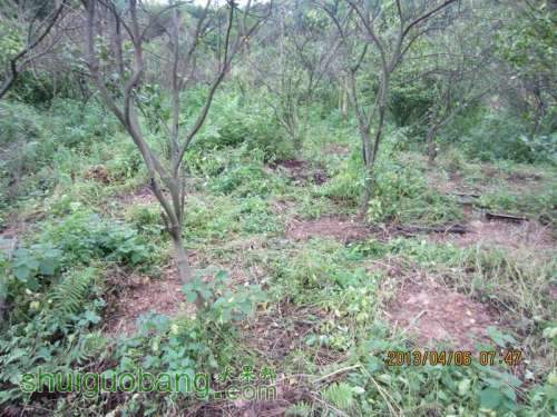 ������С ������С IMG_5366.JPG