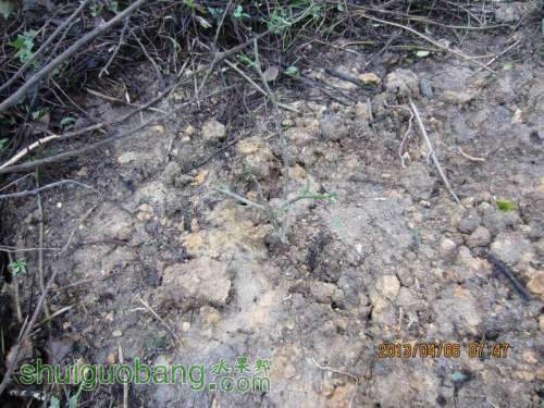 ������С ������С IMG_5368.JPG