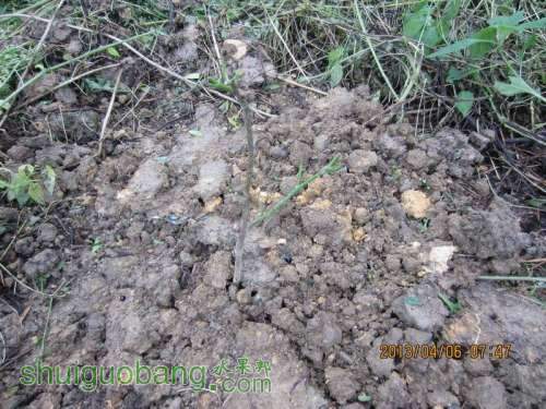 ������С ������С IMG_5369.JPG