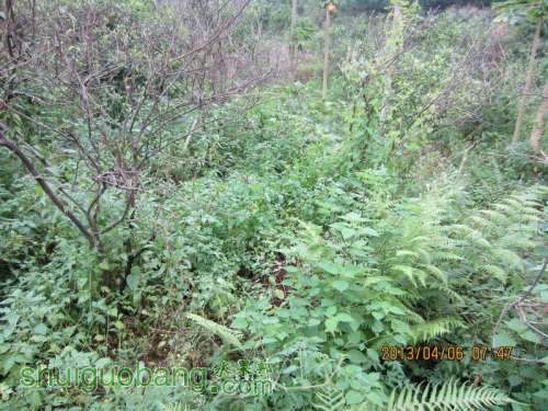 ������С ������С IMG_5370.JPG