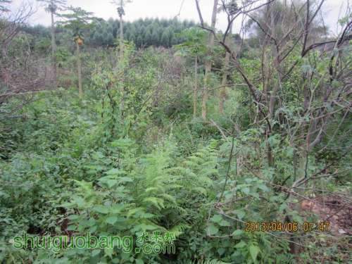 ������С ������С IMG_5373.JPG