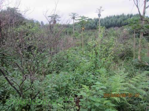 ������С ������С IMG_5374.JPG