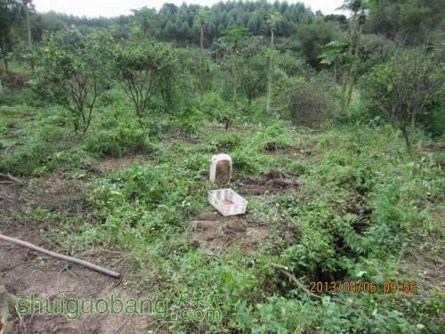 ������С ������С IMG_5376.JPG