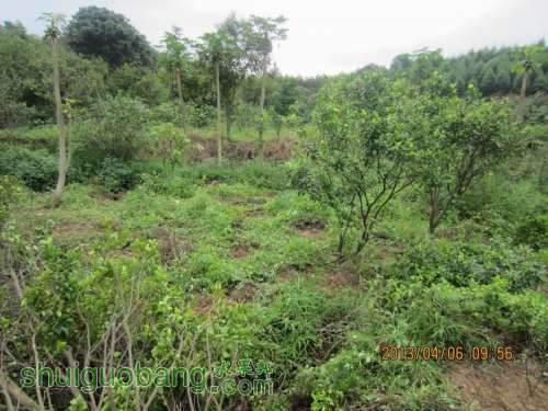 ������С ������С IMG_5378.JPG