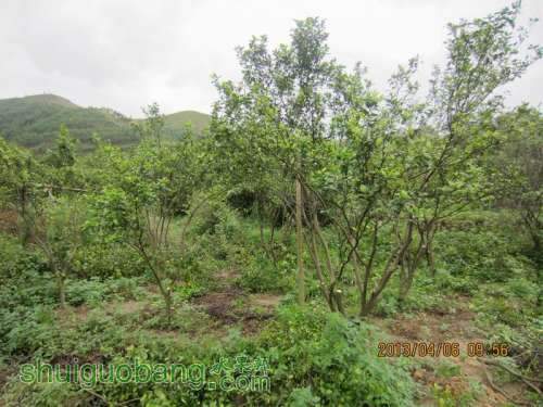 ������С ������С IMG_5380.JPG