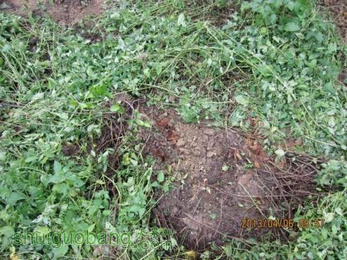 ������С ������С IMG_5382.JPG