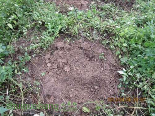 ������С ������С IMG_5384.JPG