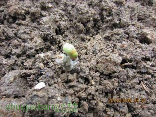 ������С ������С IMG_5385.JPG