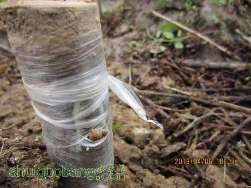 ������С ������С IMG_5392.JPG