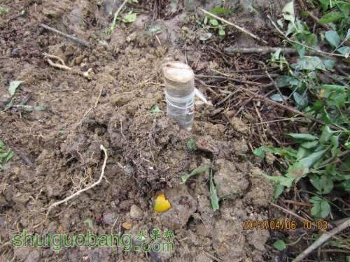 ������С ������С IMG_5391.JPG