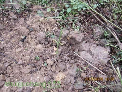 ������С ������С IMG_5394.JPG