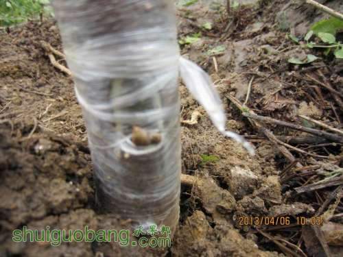 ������С ������С IMG_5393.JPG