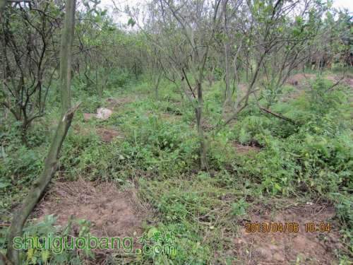 ������С ������С IMG_5396.JPG