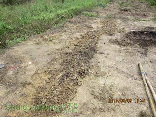 ������С ������С IMG_5413.JPG