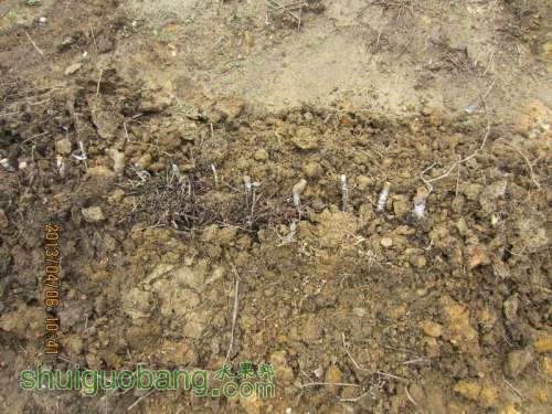 ������С ������С IMG_5414.JPG