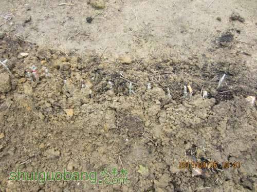 ������С ������С IMG_5416.JPG