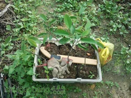 ������С 2013-04-30 08.13.27.jpg