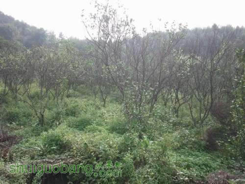 ������С 2013-04-30 08.19.24.jpg