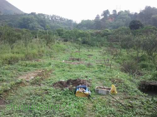 ������С 2013-04-30 08.19.51.jpg