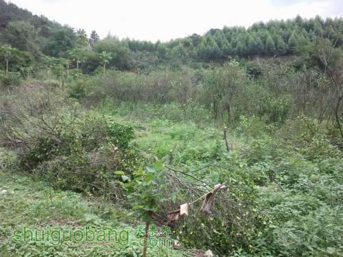 ������С 2013-04-30 10.18.46.jpg