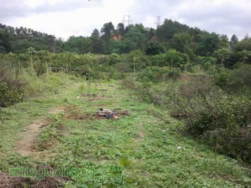 ������С 2013-04-30 10.18.58.jpg