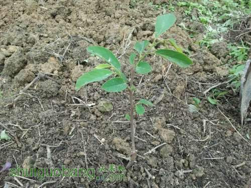 ������С 2013-04-30 10.19.16.jpg