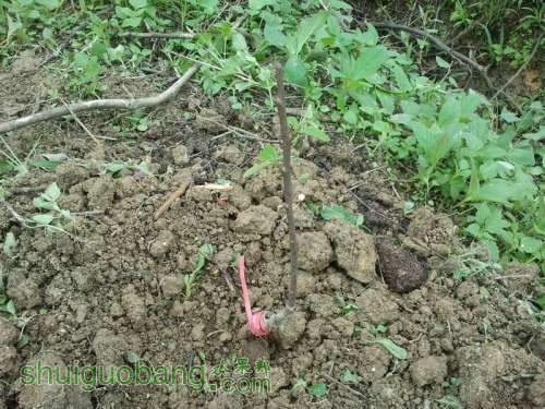 ������С 2013-04-30 10.19.32.jpg