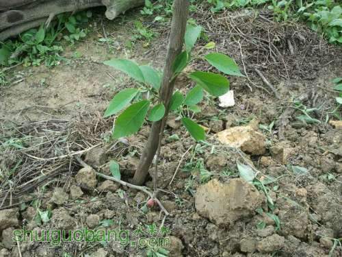 ������С 2013-04-30 10.19.47.jpg