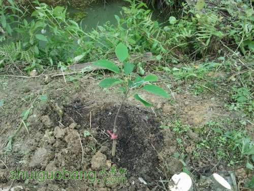 ������С 2013-04-30 10.20.43.jpg