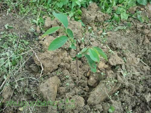 ������С 2013-04-30 10.21.10.jpg