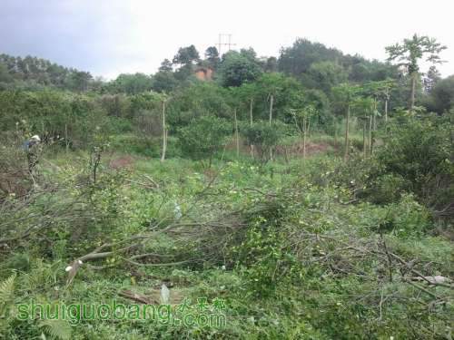 ������С 2013-04-30 10.21.25.jpg