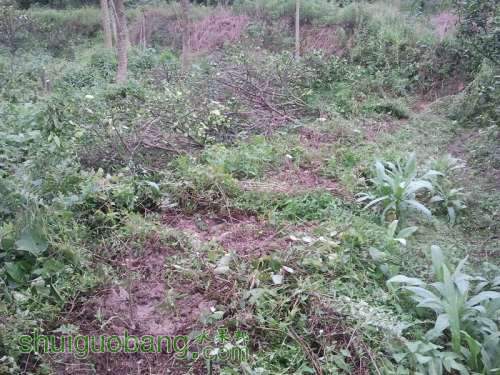 ������С 2013-04-30 17.31.46.jpg