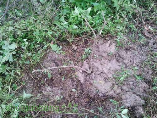 ������С 2013-04-30 17.31.56.jpg