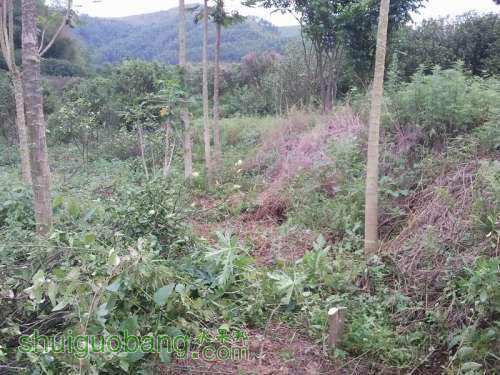 ������С 2013-04-30 17.32.39.jpg