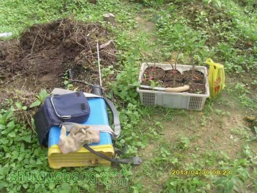 ������С ������С SI854823.JPG