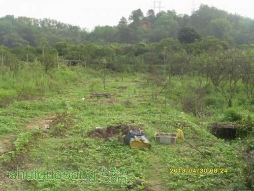 ������С ������С SI854824.JPG