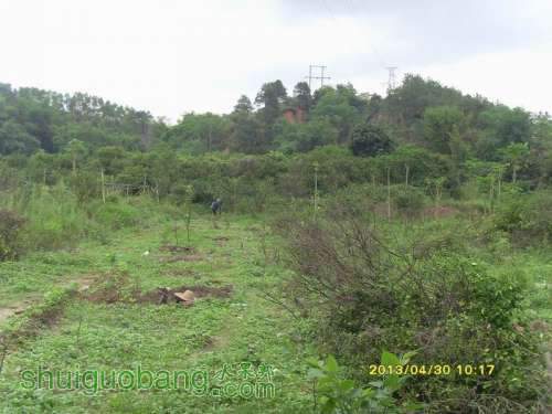 ������С ������С SI854829.JPG