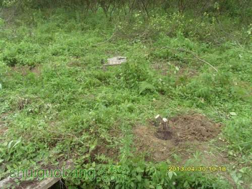 ������С ������С SI854830.JPG