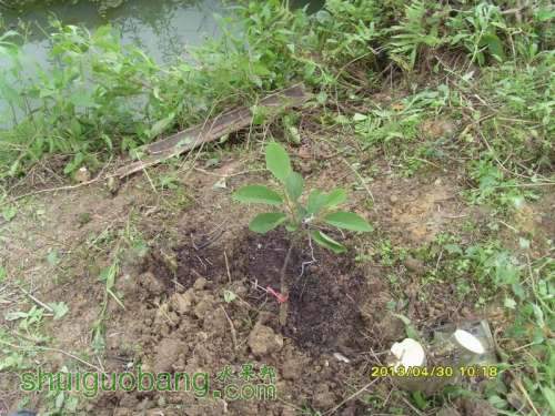 ������С ������С SI854831.JPG