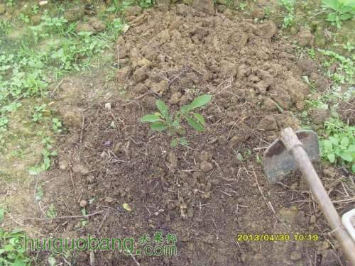 ������С ������С SI854834.JPG