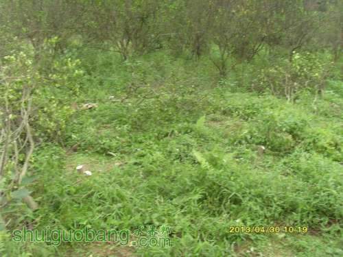 ������С ������С SI854837.JPG