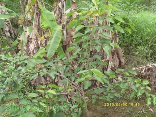 ������С ������С SI854840.JPG