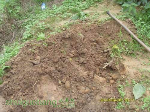 ������С ������С SI854842.JPG