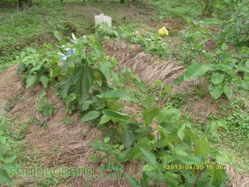 ������С ������С SI854848.JPG