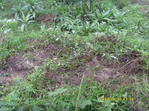 ������С ������С SI854850.JPG