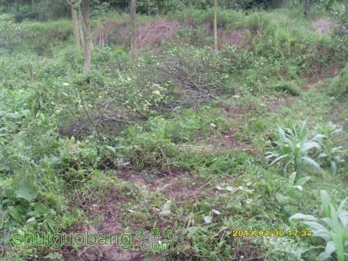 ������С ������С SI854851.JPG