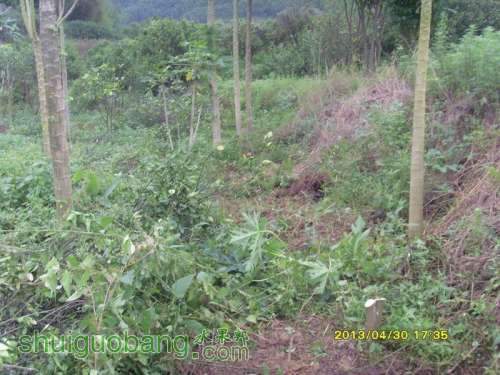 ������С ������С SI854853.JPG